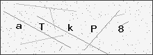 Security verification code